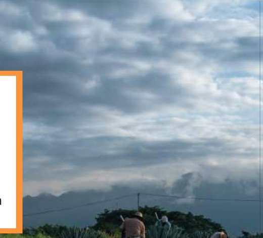 Rutas Caminos del Mezcal